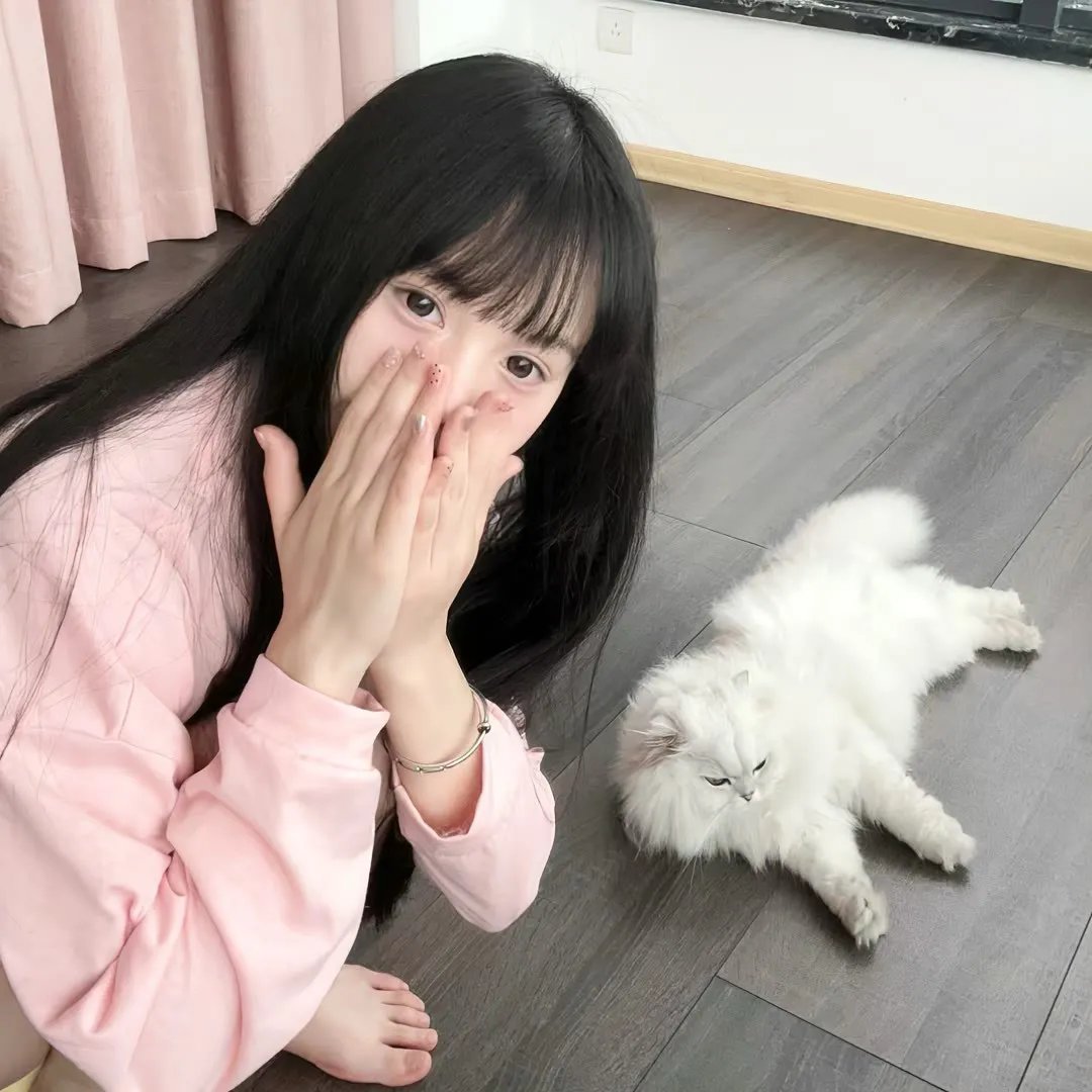 九辫妖狐