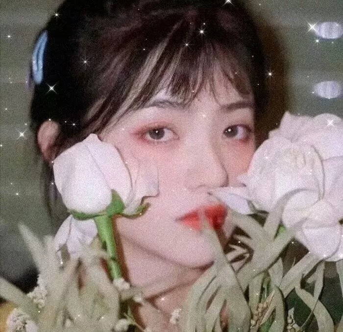 卡罗尔·马蒂厄